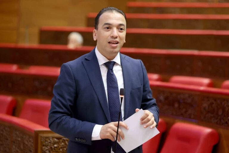 الصناعة التقليدية المغربية بين الافتخار الرسمي والمعاناة اليومية للحرفيين