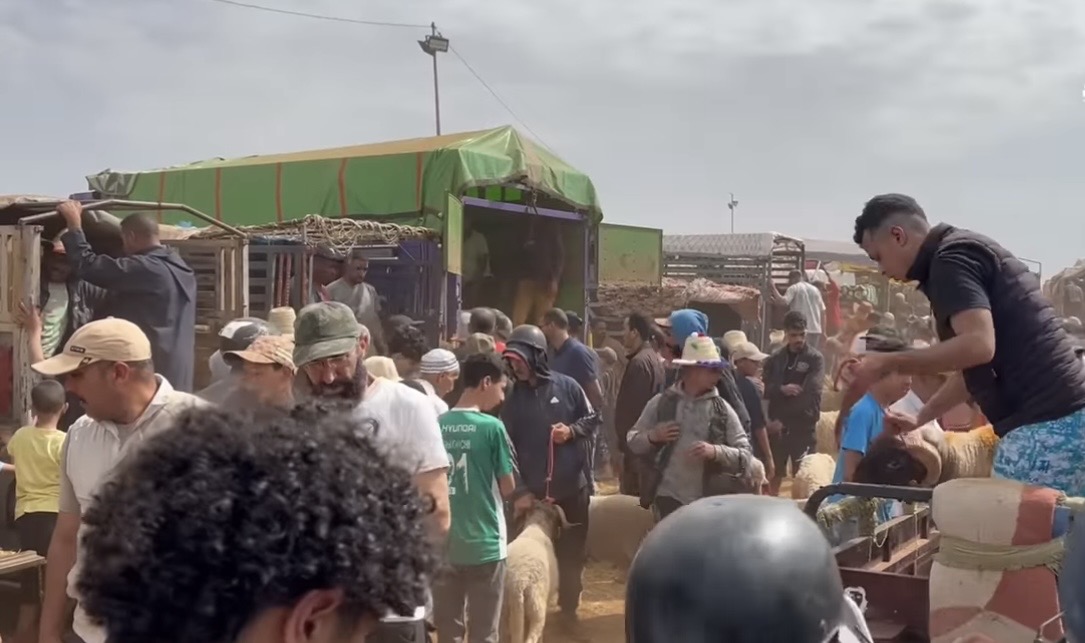 غلاء أضاحي العيد يلهب رحبة سيدي عبد الله بسلا.. ومواطنون يشتكون من أسعار تفوق طاقتهم الشرائية
