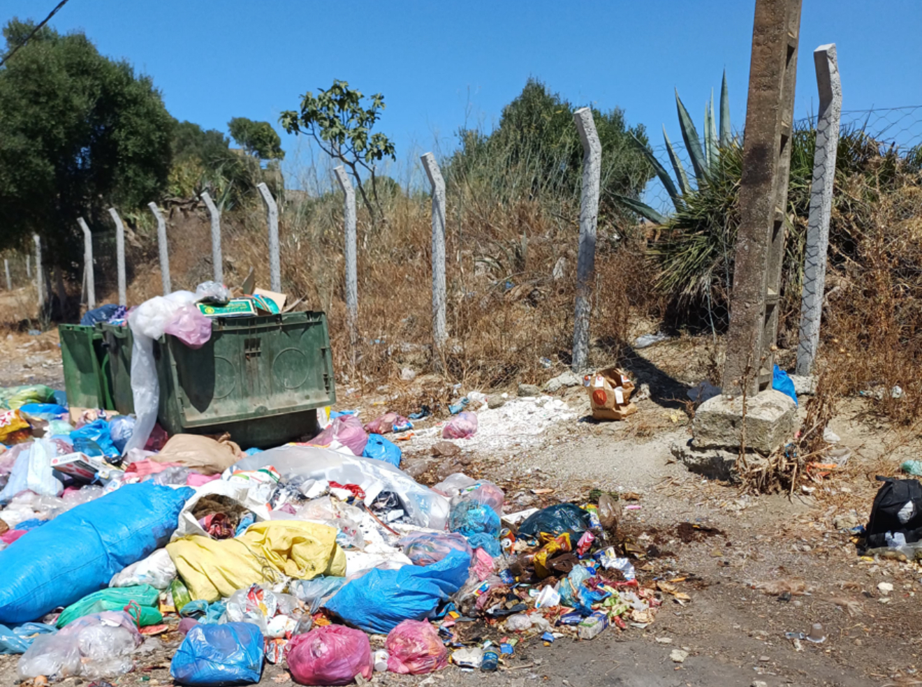 كارثة بيئية تعيشها منطقة المنبر بالعوامة بطنجة