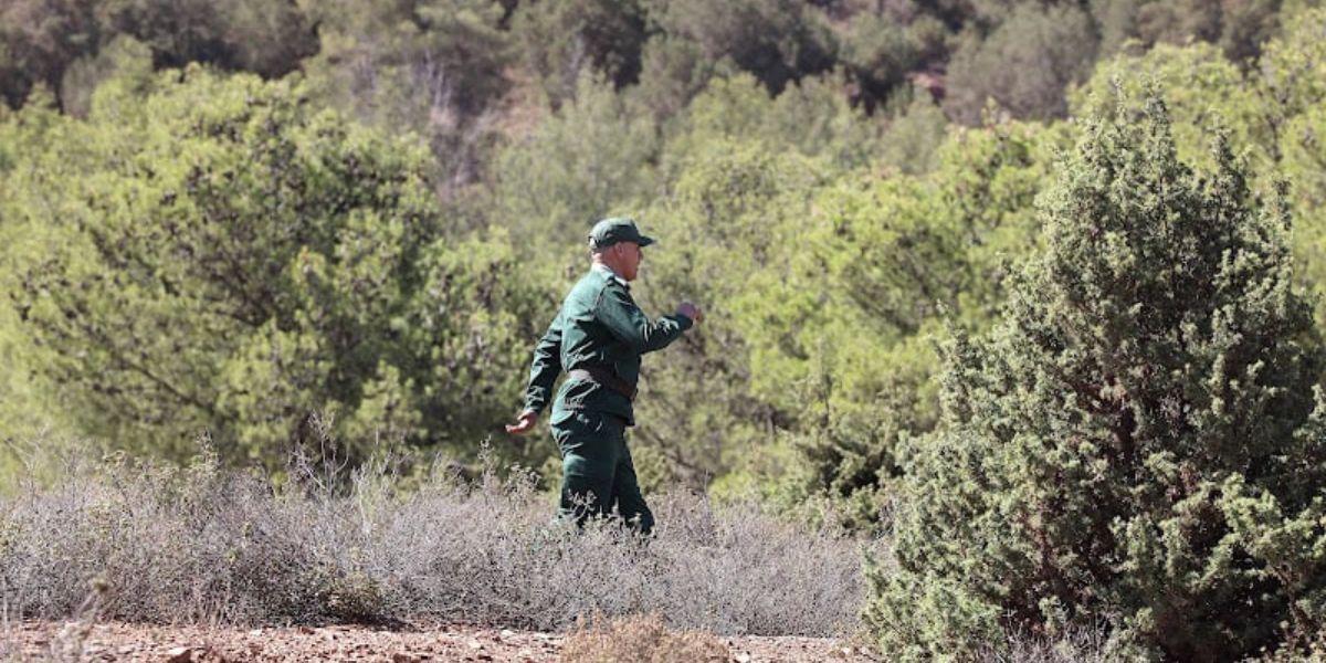 تفكيك شبكة خطيرة ببوقنادل.. المغرب يحبط تهريب أزيد من 200 طائر نادر مهدد بالانقراض