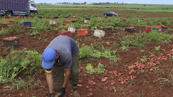 رفع الحد الأدنى للأجور بالمغرب يدخل حيز التنفيذ بداية من يناير 2026